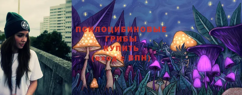 Псилоцибиновые грибы MAGIC MUSHROOMS  Клин 